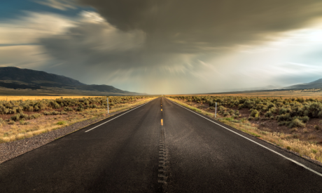 Shutterstock 1551082862