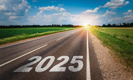 Shutterstock 2519680221 (1)