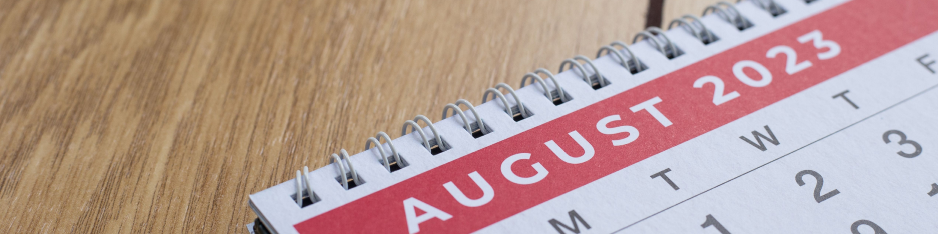 Shutterstock 2275700133