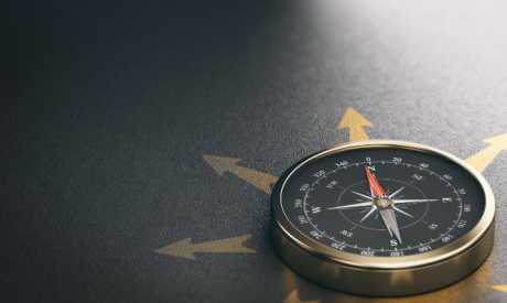 Shutterstock 2036347172