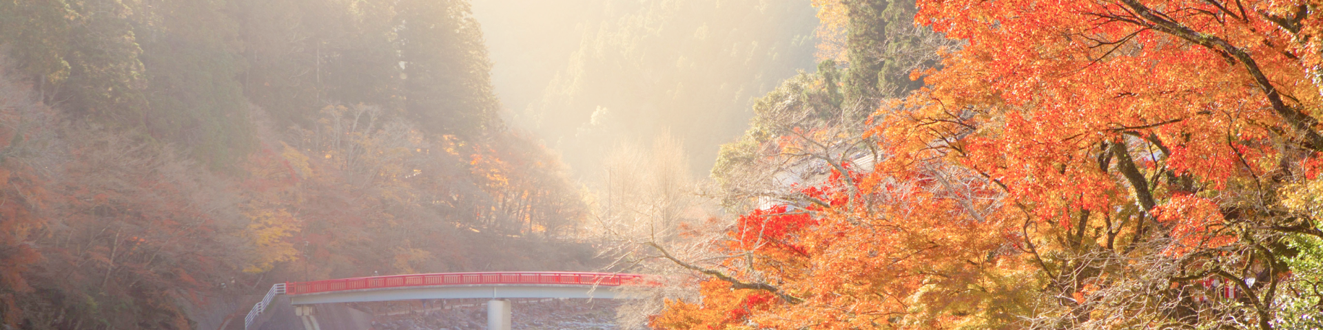 Shutterstock 766875940 (1)