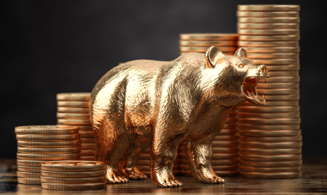 Shutterstock 2137891755