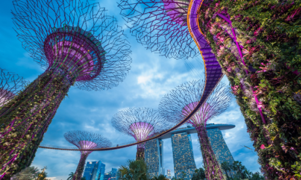 Singapore: MAS Preview - The time is not yet ripe to ease on SGD policy