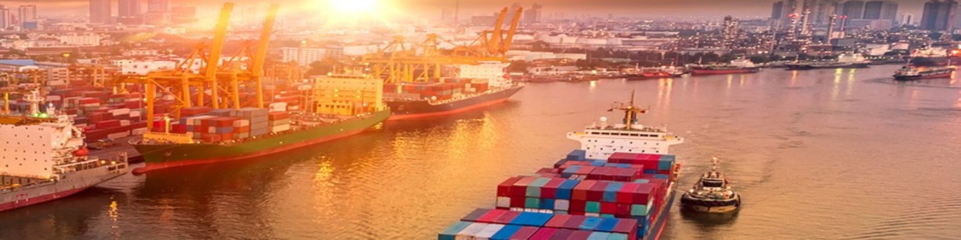 Shutterstock 1342628675