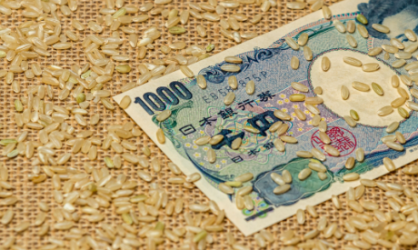 Shutterstock 1648949011