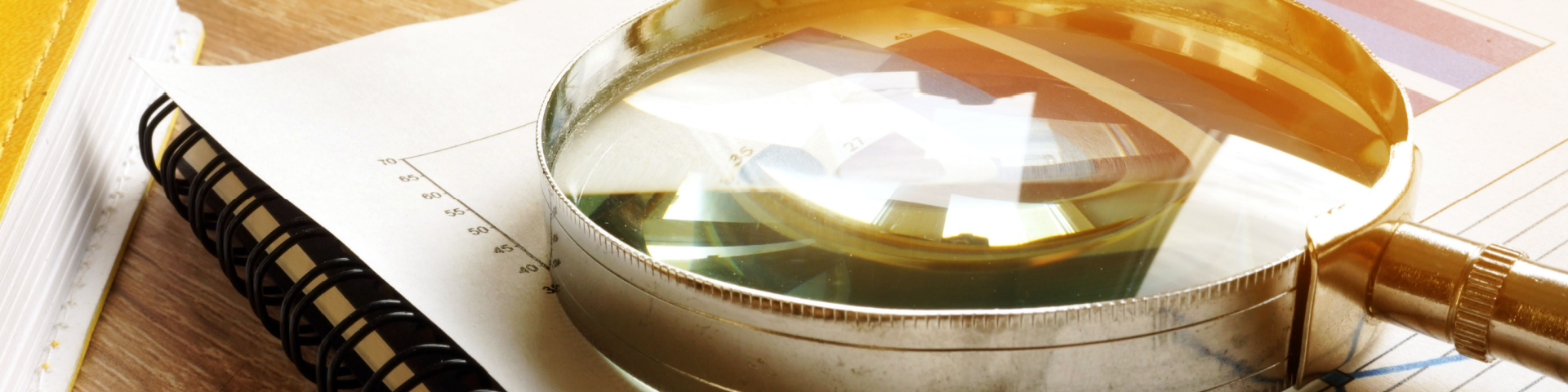 Shutterstock 1134923882