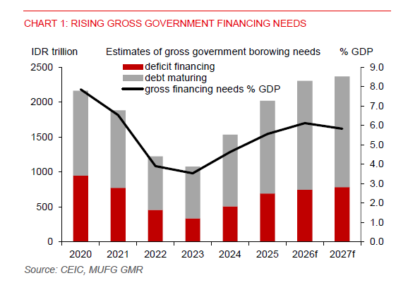 Indo Gross Financing Needs