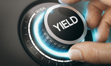 Shutterstock 1581003847