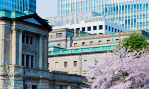 BOJ Monetary Policy Navigator