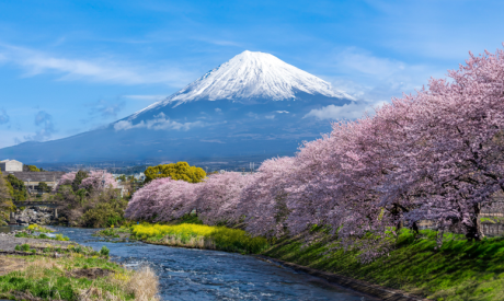 Shutterstock 2331099299